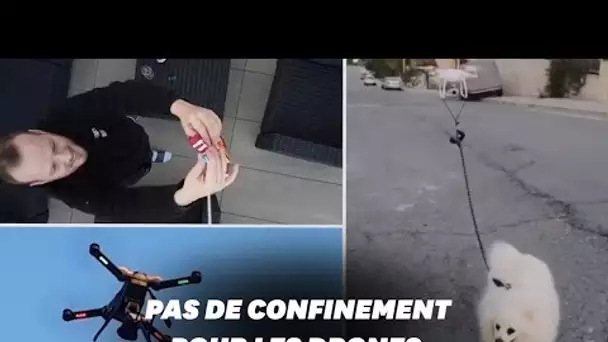 Pendant le confinement, les drones peuvent tout faire, même promener votre chien