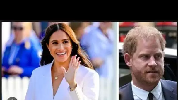 Le prince Harry et Meghan Markle ont « l'opportunité de changer l'opinion publique » grâce à une nou