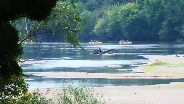 Nièvre : un été sur les bords de la Loire - Episode 2