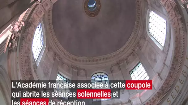 Académie française : suivez le guide ! #Francophonie #20mars