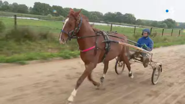 Coronavirus : la Mayenne attend la reprise des courses hippiques