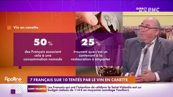 Plus de sept Français sur dix sont tentés par le vin en canette