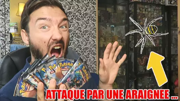 ATTAQUÉ PAR UNE ARAIGNÉE IRL ! Ouverture Boosters Pokémon OMBRES ARDENTES !