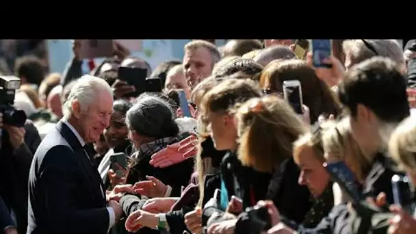 Hommage à Elizabeth II : Charles III et William à la rencontre du public dans la queue • FRANCE 24