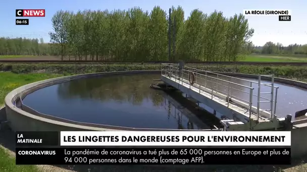 Les lingettes dangereuses pour l'environnement