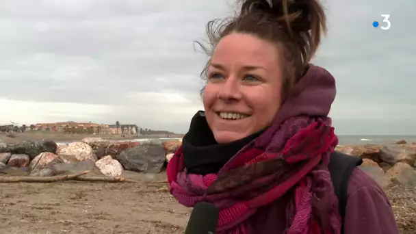 Tempête gloria : plus de 500 personnes pour nettoyer la plage à Sainte-Marie-la-Mer
