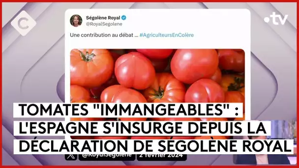 Tomates, agriculteurs et Amélie Oudéa-Castéra - Le 5/5 - C à Vous - 02/02/2024
