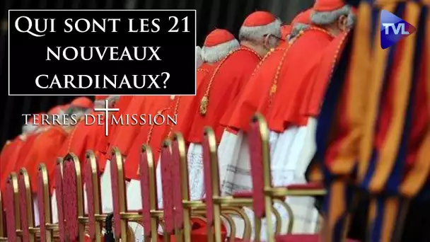 Qui sont les 21 nouveaux cardinaux ? - Terres de Mission n°324 - TVL