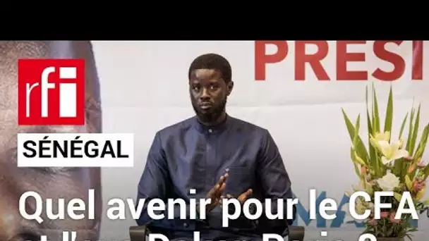 Sénégal : quel avenir pour le F CFA et les relations Dakar / Paris ?  • RFI