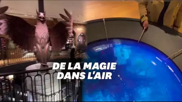 A quoi va ressembler la première boutique Harry Potter au monde