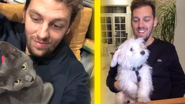 24h avec un chat VS 24h avec un chien