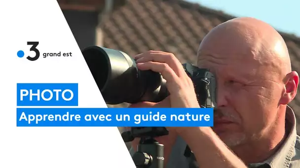 Photographie : apprendre avec Fabrice, guide nature à l'étang de Lachaussée