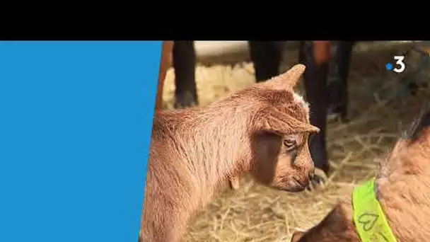 Portrait d'un agriculteur : Les oubliés de la Politique Agricole Commune.