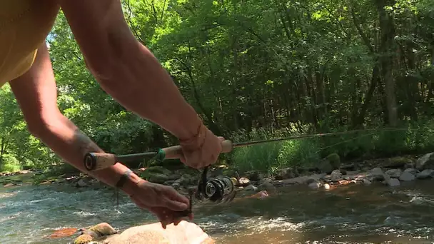 Yonne : et si vous appreniez à pêcher cet été ?