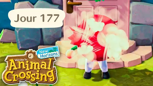 Jour 177 | RETOUR sur mon ÎLE APRES 1 MOIS ! | Animal Crossing : New Horizons