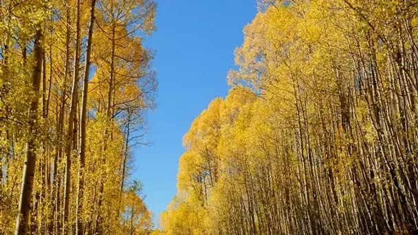 Job de rêve : gardien de l'une des plus belles réserves naturelles au Colorado !