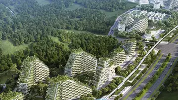 Une ville-forêt verra bientôt le jour en Chine !