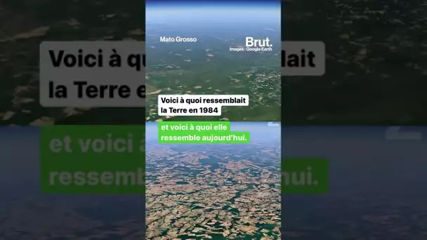 Les effets du changement climatique et du développement urbain à travers les années