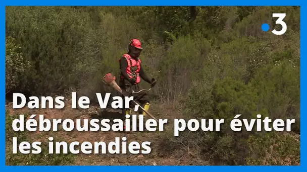 Dans le Var, le débroussaillage a commencé pour réduire les incendies cet été