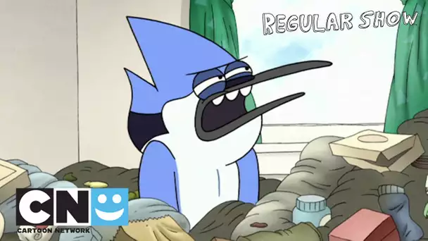 Arthur le mur | Regular Show | Cartoon Network