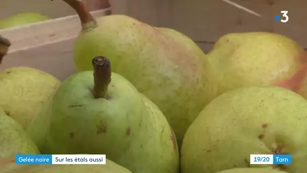 Tarn : coup de chaud sur les étals des marchés après la vague de gel qui a touché les vergers