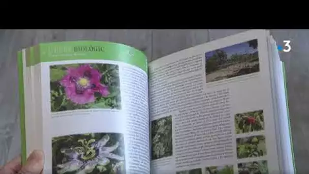 Aquí Sem : conseils pour un jardin bio