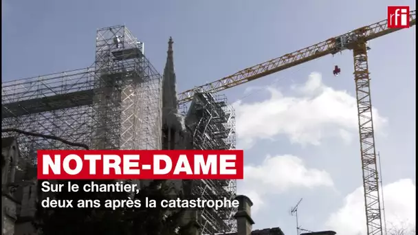 Notre-Dame de Paris : sur le chantier, deux ans après l'incendie