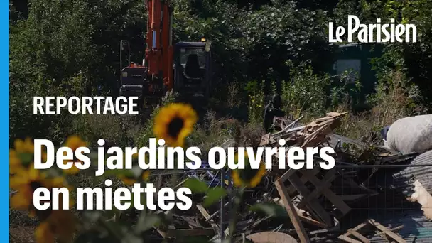 «Il faut briller, ce sont les JO» : à Aubervilliers, les premiers jardins ouvriers ont été détruits