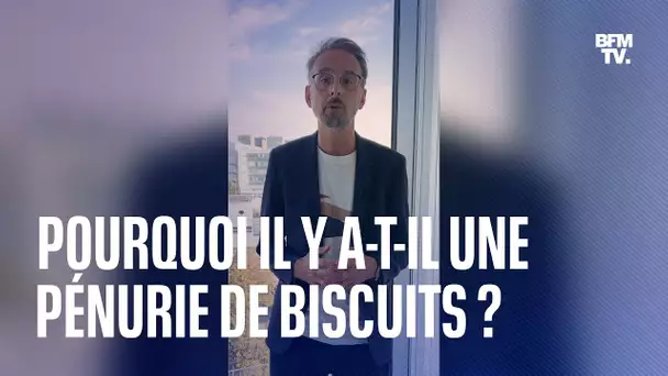 🍪 De nombreux biscuits manquent dans les rayons à cause d'une suspicion de salmonelle