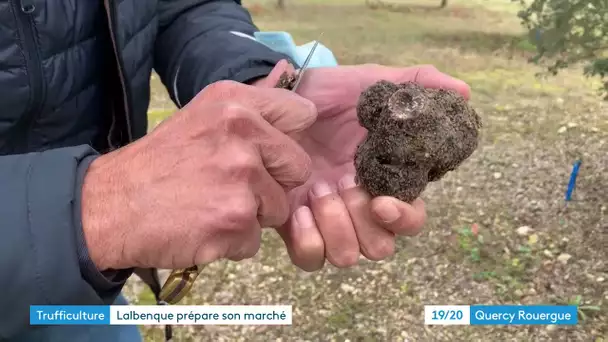 Lalbenque : bientôt le coup d'envoi pour la saison des truffes