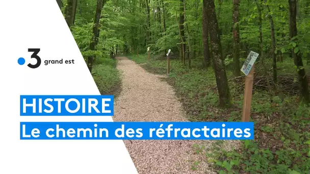 Dans le Sundgau, un chemin pour commémorer l'histoire des réfractaires de la Seconde Guerre mondiale