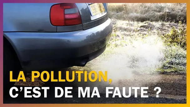 La pollution c'est de ma faute ?