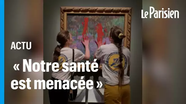 Suède : des militantes écologistes badigeonnent de peinture un tableau de Monet