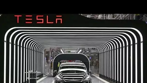 Les voitures Tesla "made in Germany", c'est parti !