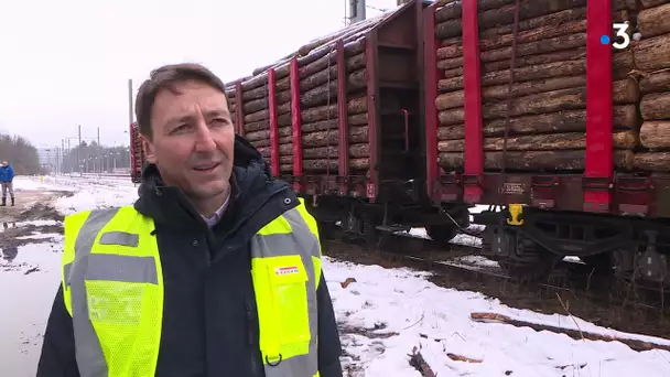 Andelot : la petite gare reprend du service pour transporter du bois vers les Landes