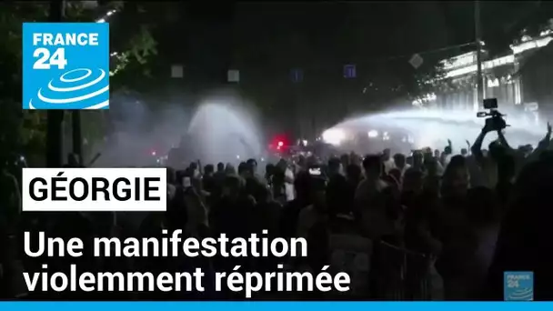 Géorgie : une manifestation contre une loi jugée pro-russe violemment réprimée • FRANCE 24
