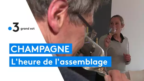 Champagne : les œnologues travaillent les assemblages des vins de la vendange 2021