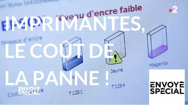 Envoyé spécial.  Imprimantes, le coût de la panne ! - 29 mars 2018 (France 2)