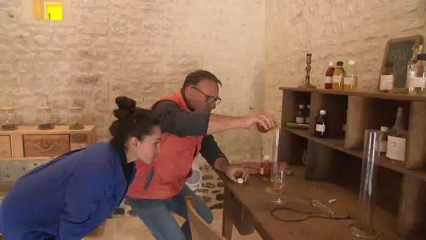 Viticulture : un nouveau bachelor Cognac pour les jeunes