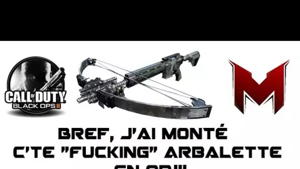 Bref, j&#039;ai monté cette 'FUCKING' Arbalette en Or #1