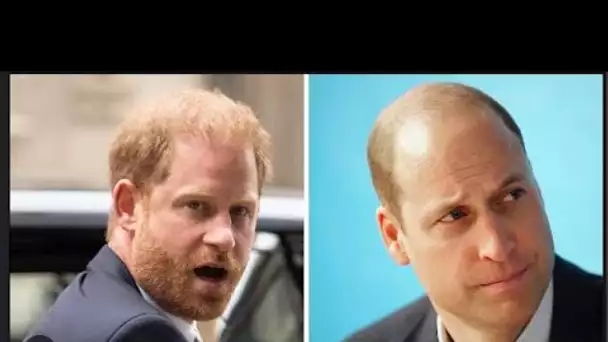 La tentative du prince Harry de réparer la querelle royale pourrait prendre des « années » car il ma