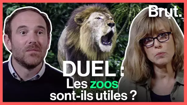 Duel : les zoos sont-ils utiles ?