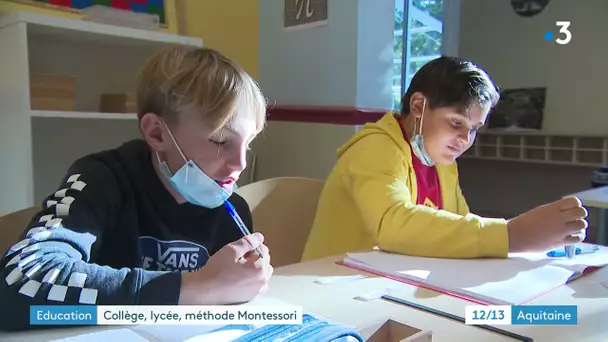 Gironde : à Mios, collégiens et lycéens apprennent selon la pédagogie Montessori