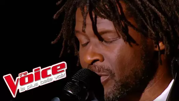 Johnny Nash – I Can See Clearly Now | Emmanuel Djob | The Voice France 2013 | Prime 3