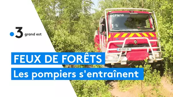 Sécheresse : les pompiers s'entrainent contre les feux de forêts