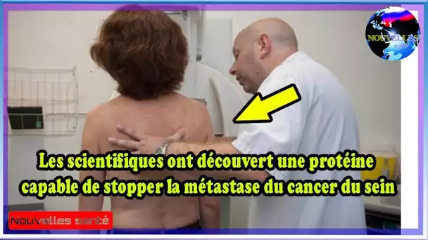 Une protéine capable de prévenir les métastases du cancer du sein Des scientifiques ont découvert