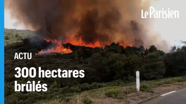 Incendie près de Narbonne : près de 300  hectares détruits, 170 personnes évacuées