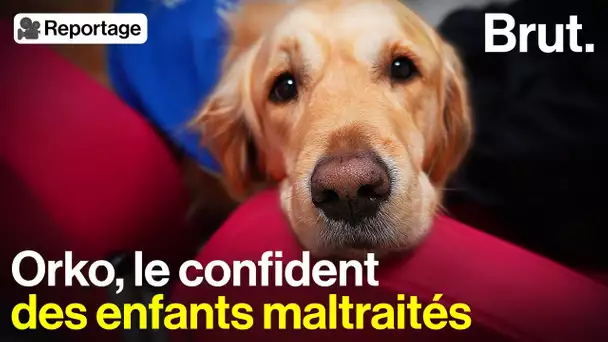 Ce chien aide les mineurs victimes de violences à libérer leur parole