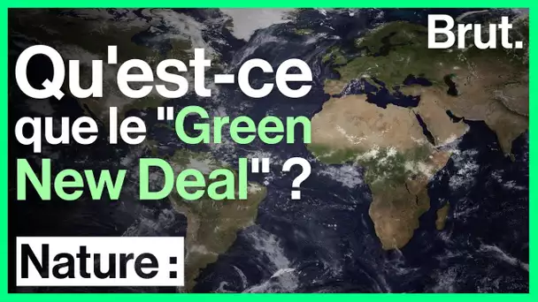 Le "Green New Deal", une révolution pour sauver la planète