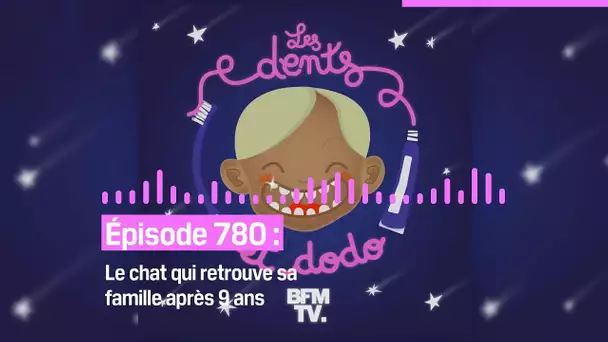 Les dents et dodo - “Épisode 780 : Le chat qui retrouve sa famille après 9 ans”